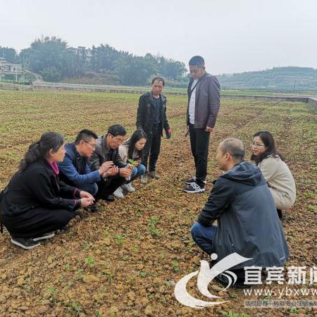 全部分类 第122页